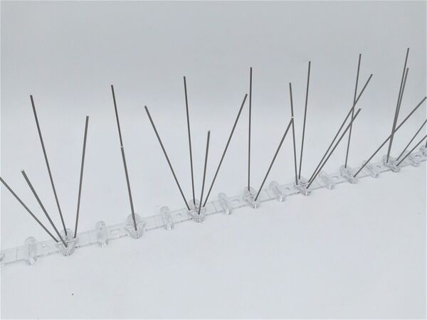 Duivenpinnen kopen in Alkmaar bij Postma en Postma