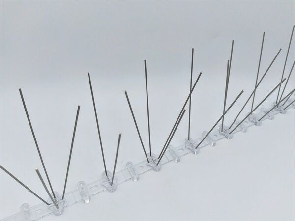 Duivenpinnen kopen in Alkmaar bij Postma en Postma