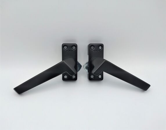 Raamboompjes kopen in Alkmaar bij Postma en Postma