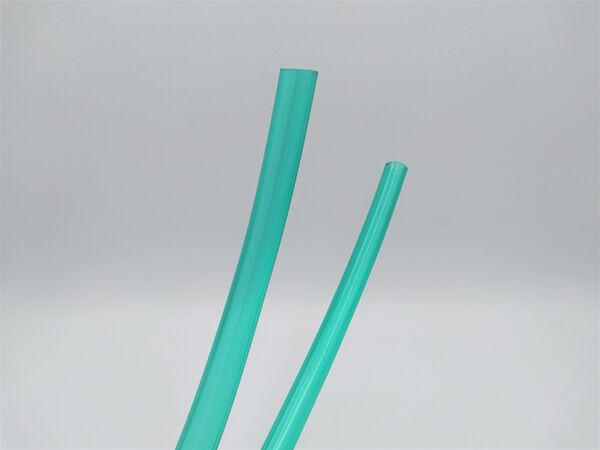 Slangen kopen in Alkmaar bij Postma en Postma