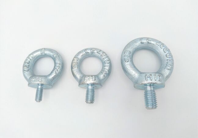 Oogbouten kopen in Alkmaar bij Postma en Postma