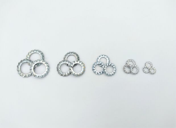 Ringen kopen in Alkmaar bij Postma en Postma