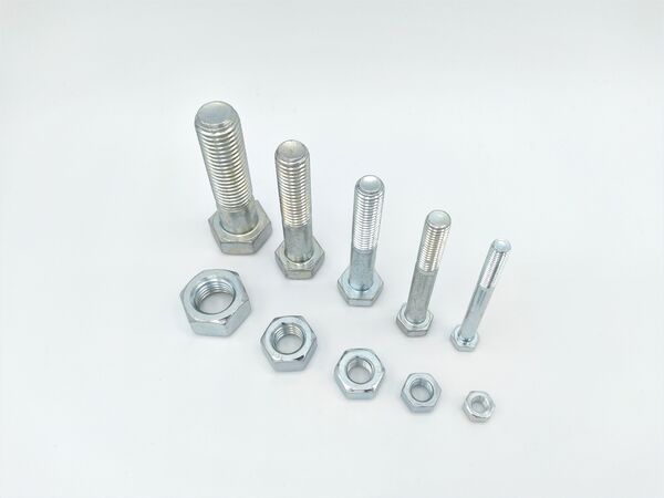 Bouten kopen in Alkmaar bij Postma en Postma